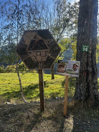 Insektenhotels